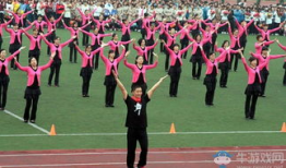 广场舞视频下载,跟随视频下载，舞动健康生活新篇章